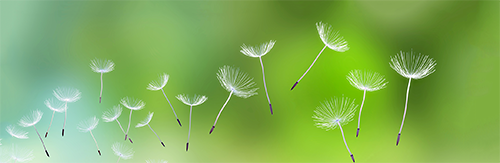 Thomas Wick Referenzen - Christine Lenggenhager